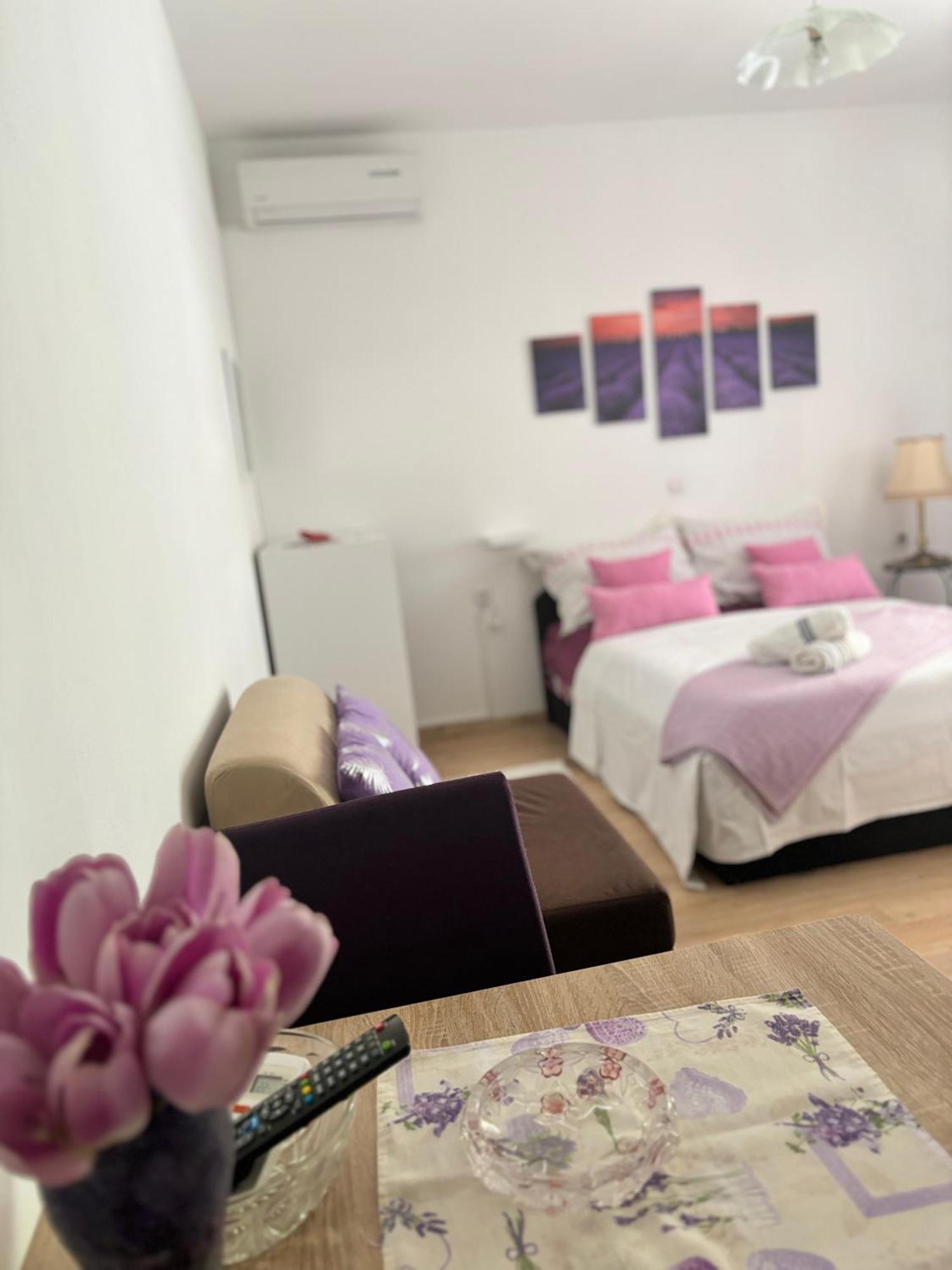Appartement Ivana Bibinje