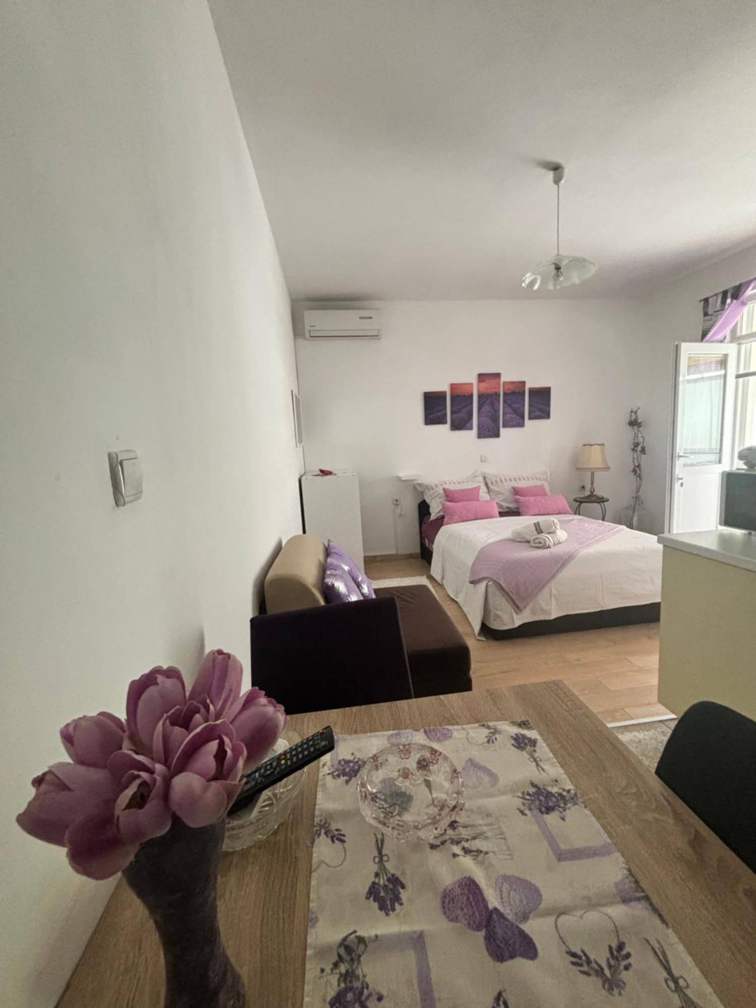 Appartement Ivana *